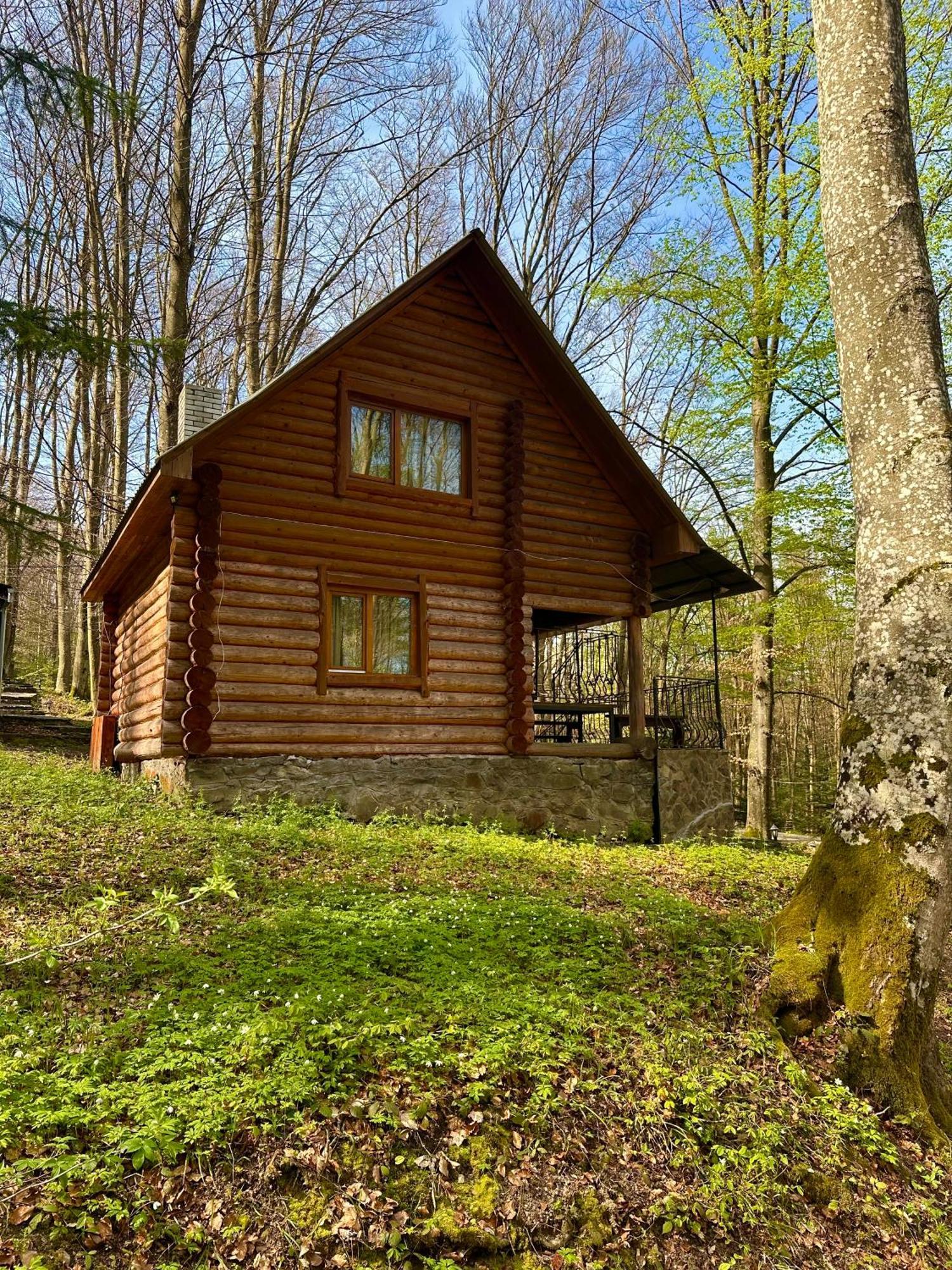 База Відпочинку Шиповець Poroshkovo Exterior foto